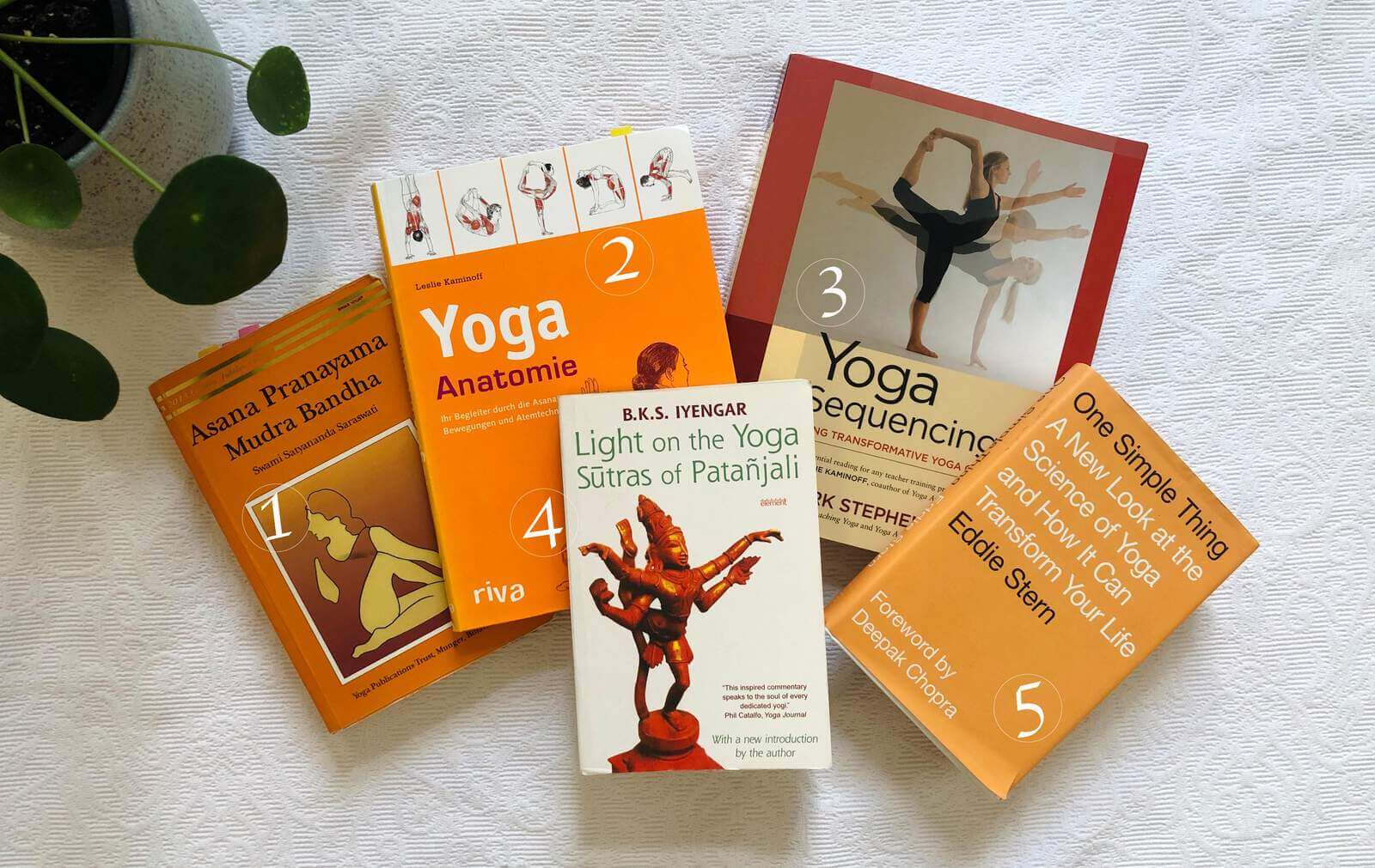 The Essential Reading List for Yoga Enthusiasts